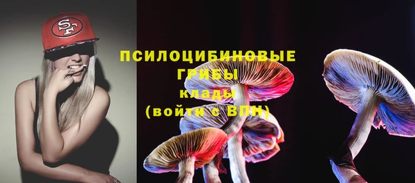 гидра Тында