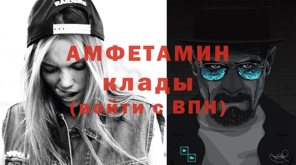 стаф Алексин